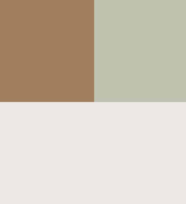 Brown, light green and light grey colour scheme.