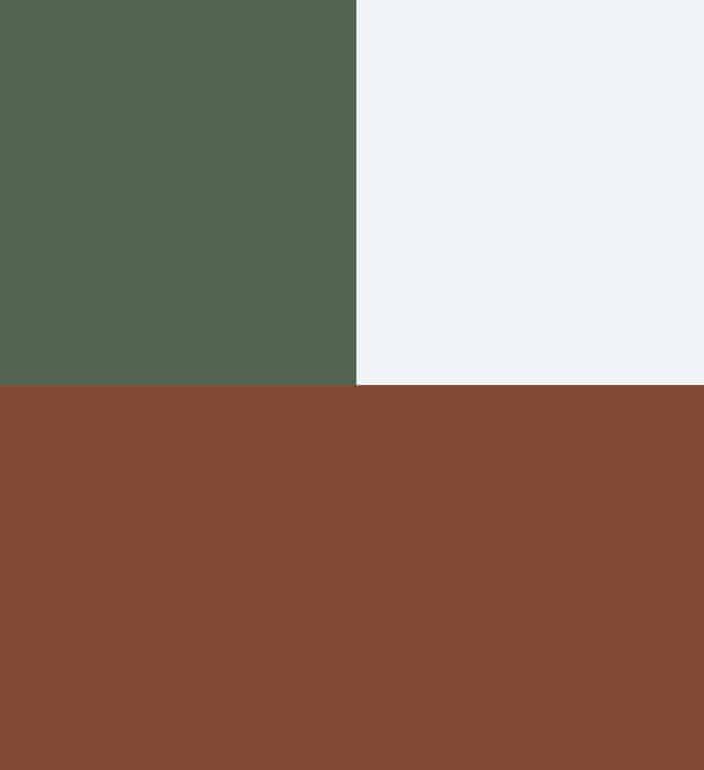 Dark green, light grey and maroon brown colour scheme.