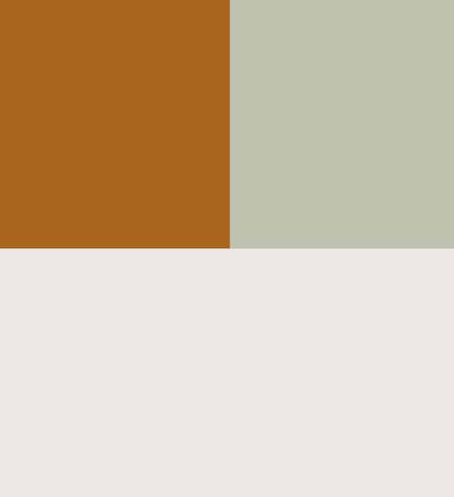 Burnt orange, light green and light grey colour scheme.